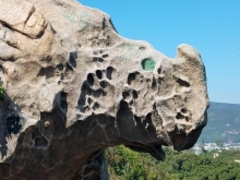 Thumbnail of 20251116_084.jpg