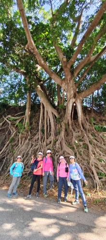 Thumbnail of pic_Derek_Wong_009.jpg