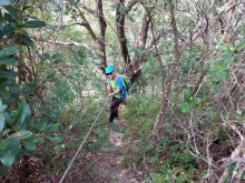 Thumbnail of PB230018.jpg