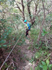 Thumbnail of PB230019.jpg