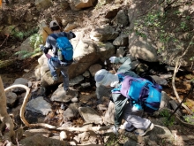 Thumbnail of PB230025.jpg