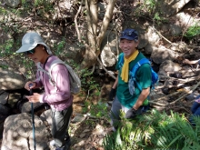 Thumbnail of PB230027.jpg