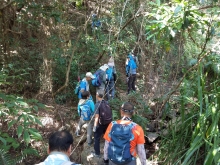 Thumbnail of PB230028.jpg