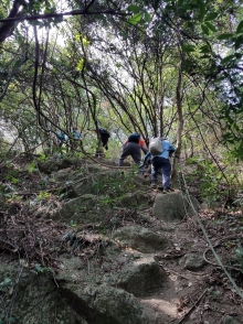 Thumbnail of PB230029.jpg