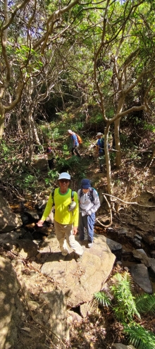 Thumbnail of pic_Derek_Wong_026.jpg