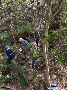 Thumbnail of pic_WaiG_002.jpg