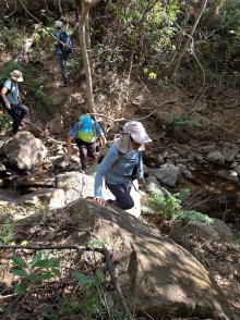 Thumbnail of pic_WaiG_005.jpg