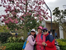 Thumbnail of PB300005.jpg