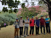 Thumbnail of PB300030.jpg