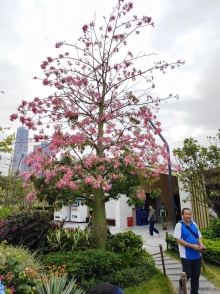 Thumbnail of pic_Anissa_Yip_001.jpg