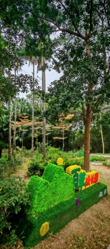 Thumbnail of pic_Cindy_Tse_019.jpg