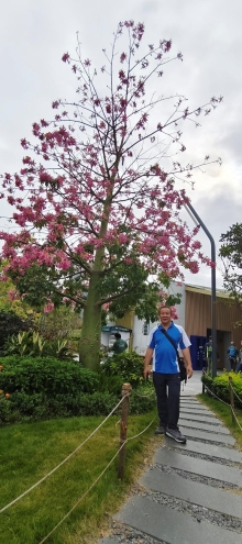 Thumbnail of pic_Derek_Wong_010.jpg