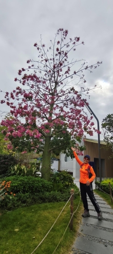 Thumbnail of pic_Derek_Wong_012.jpg