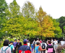 Thumbnail of pic_Lee_Shing_006.JPG