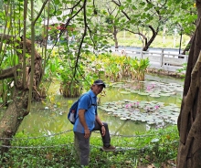 Thumbnail of pic_Lee_Shing_009.JPG