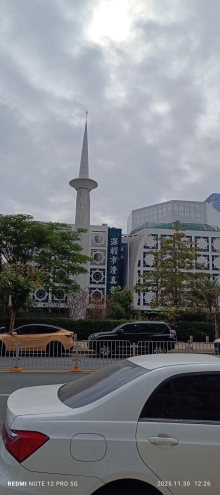 Thumbnail of pic_Mingle_Tam_041.jpg