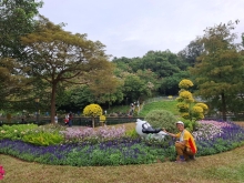 Thumbnail of pic_Szeto_016.jpg