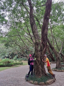 Thumbnail of pic_Szeto_028.jpg