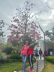 Thumbnail of pic_TB_Tung_007.JPG