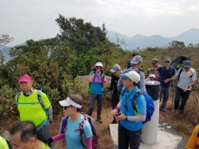 Thumbnail of PC070019.jpg