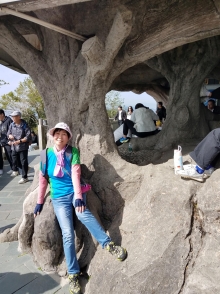 Thumbnail of PC140034.jpg