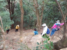 Thumbnail of PC140053.jpg