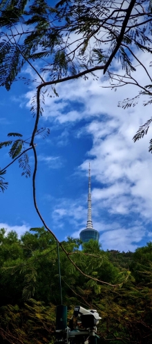 Thumbnail of pic_Cindy_Tse_005.jpg