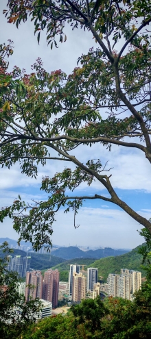 Thumbnail of pic_Cindy_Tse_010.jpg