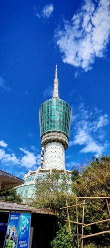 Thumbnail of pic_Cindy_Tse_028.jpg