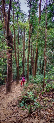 Thumbnail of pic_Cindy_Tse_044.jpg