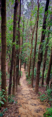 Thumbnail of pic_Cindy_Tse_048.jpg