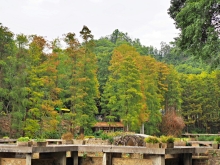 Thumbnail of pic_Lee_Shing_043.JPG