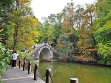 Thumbnail of pic_Lee_Shing_044.JPG