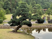 Thumbnail of pic_TB_Tung_024.JPG