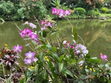 Thumbnail of pic_TB_Tung_026.JPG