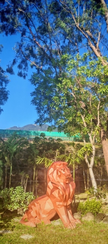 Thumbnail of pic_Cindy_Tse_005.jpg