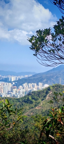 Thumbnail of pic_Cindy_Tse_024.jpg