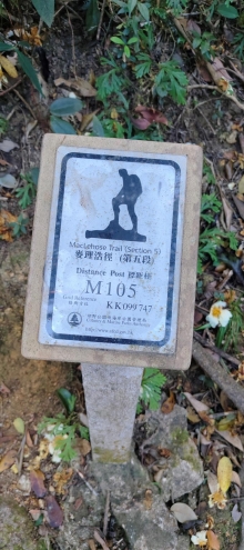 Thumbnail of pic_Derek_Wong_042.jpg