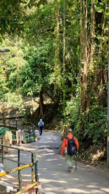 Thumbnail of pic_KL_Sin_037.jpg