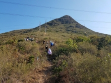 Thumbnail of PC280014.jpg