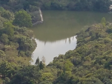 Thumbnail of PC280035.jpg