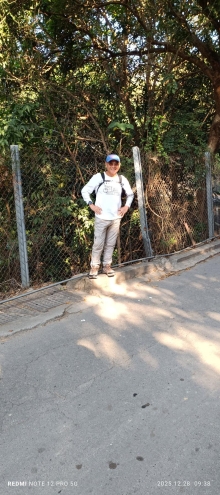 Thumbnail of pic_Mingle_Tam_001.jpg