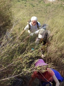 Thumbnail of pic_SK_Kwan_020.JPG