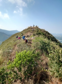 Thumbnail of pic_SK_Kwan_037.JPG