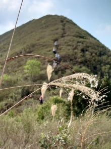 Thumbnail of pic_SK_Kwan_039.JPG