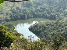 Thumbnail of pic_TB_Tung_022.JPG