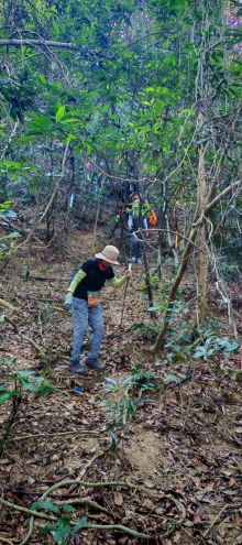 Thumbnail of pic_Cindy_Tse_014.jpg