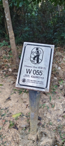 Thumbnail of pic_Derek_Wong_016.jpg