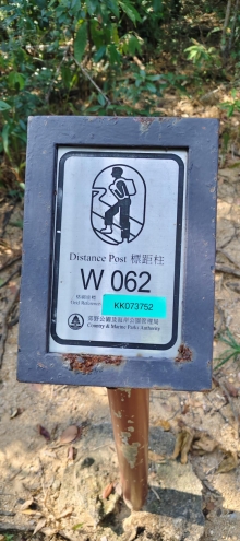 Thumbnail of pic_Derek_Wong_045.jpg