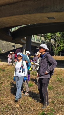 Thumbnail of pic_KW_Li_020.jpg